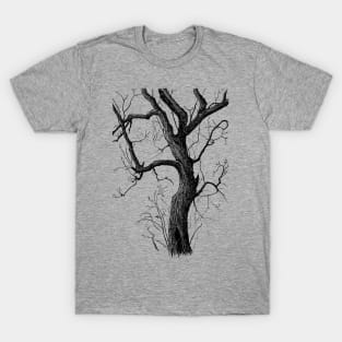 Old Tree T-Shirt